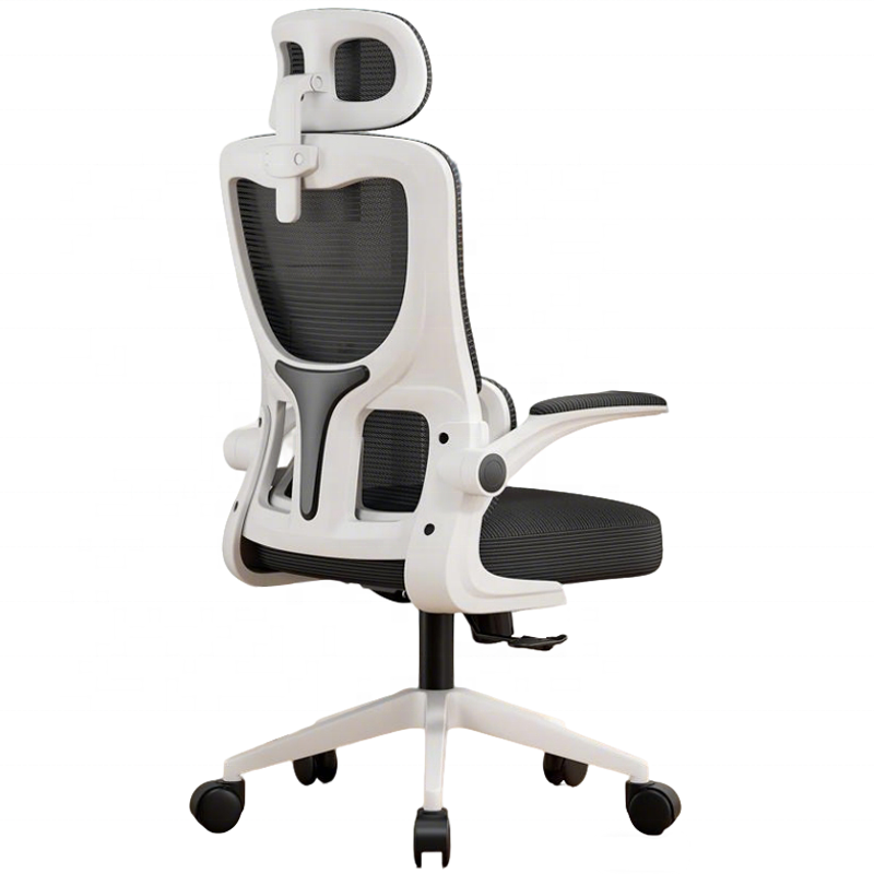 Mesh Ergonomic Office Chair With Dual-backrest 360°Swivel Staff Guest Executive Chair For Gaming & Office Use