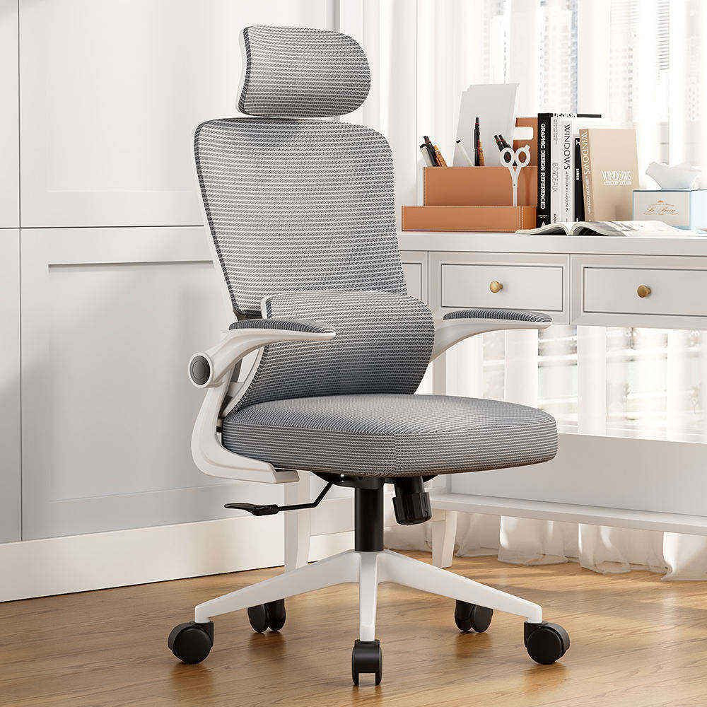 Mesh Ergonomic Office Chair With Dual-backrest 360°Swivel Staff Guest Executive Chair For Gaming & Office Use