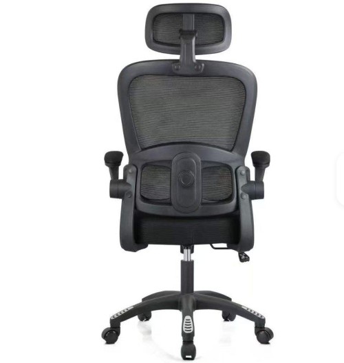 Modern Mesh Design Office Chair Height Adjustable Backrest Lumbar Support Ergonomic Fold-Up Armrests Chair
