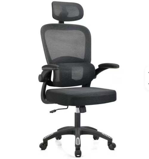 Modern Mesh Design Office Chair Height Adjustable Backrest Lumbar Support Ergonomic Fold-Up Armrests Chair
